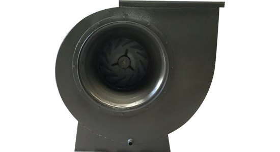 ma series 5 copy