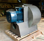 maseries-1